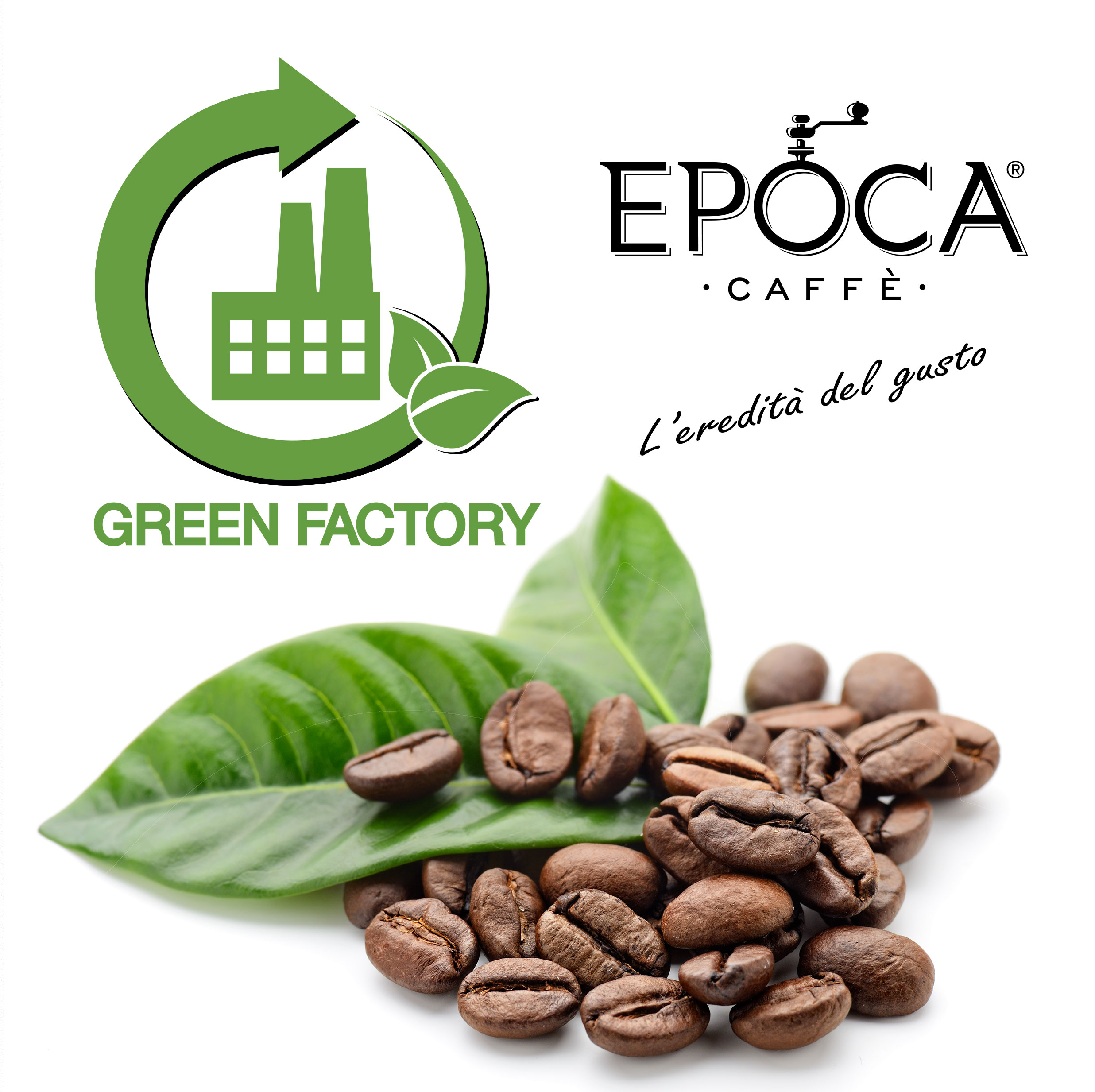 coffee green factory